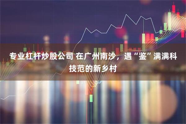 专业杠杆炒股公司 在广州南沙，遇“鉴”满满科技范的新乡村