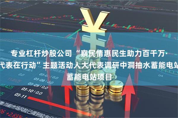 专业杠杆炒股公司 “察民情惠民生助力百千万·人大代表在行动”主题活动人大代表调研中洞抽水蓄能电站项目