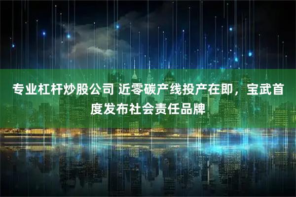 专业杠杆炒股公司 近零碳产线投产在即，宝武首度发布社会责任品牌