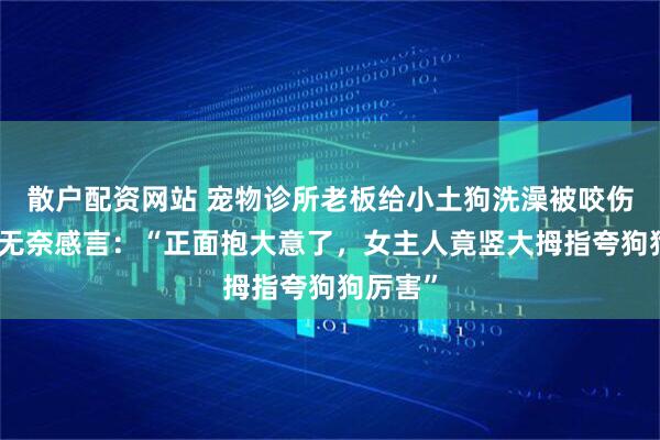 散户配资网站 宠物诊所老板给小土狗洗澡被咬伤面部，无奈感言：“正面抱大意了，女主人竟竖大拇指夸狗狗厉害”