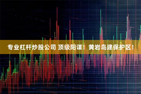 专业杠杆炒股公司 顶级阳谋！黄岩岛建保护区！